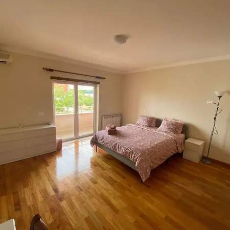 Amazing Scorpion's House * Leiria