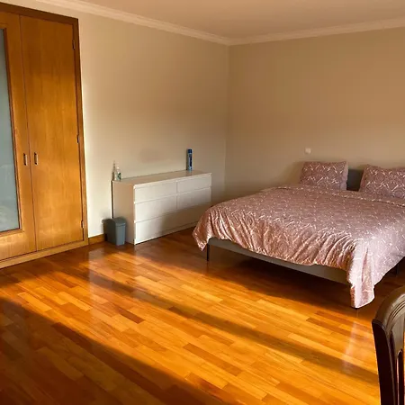 Amazing Scorpion's House