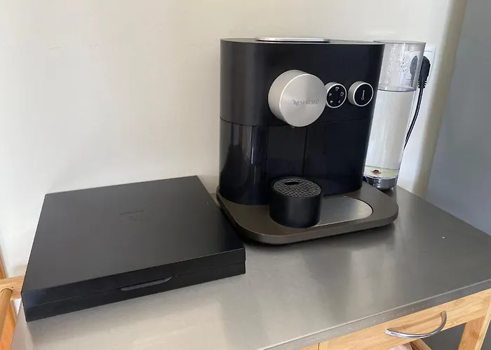 Amazing Scorpion's House Homestay